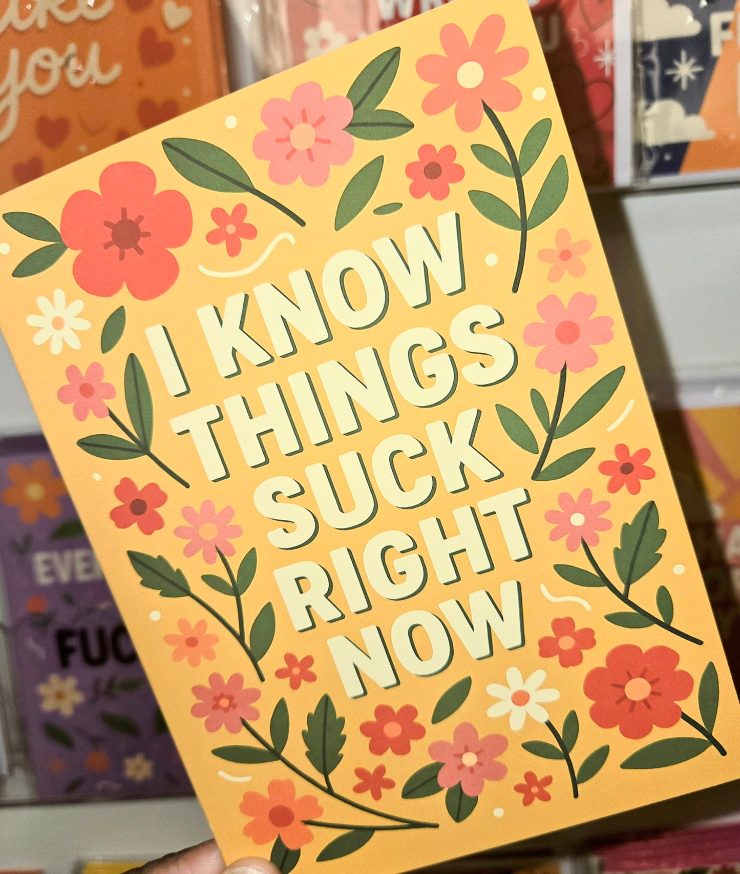 I Know Things Suck Right Now Greeting Card